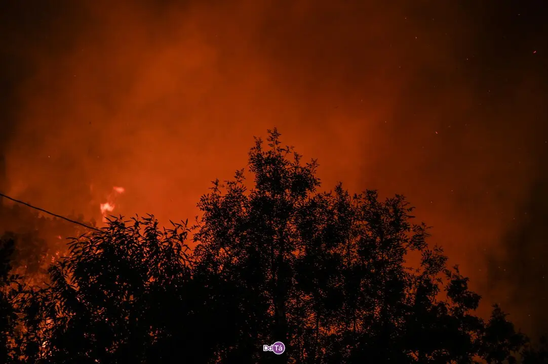 20250812 IFAGranxaO&iacute;mbra, incendio o&iacute;mbra, zona vilaza (25)