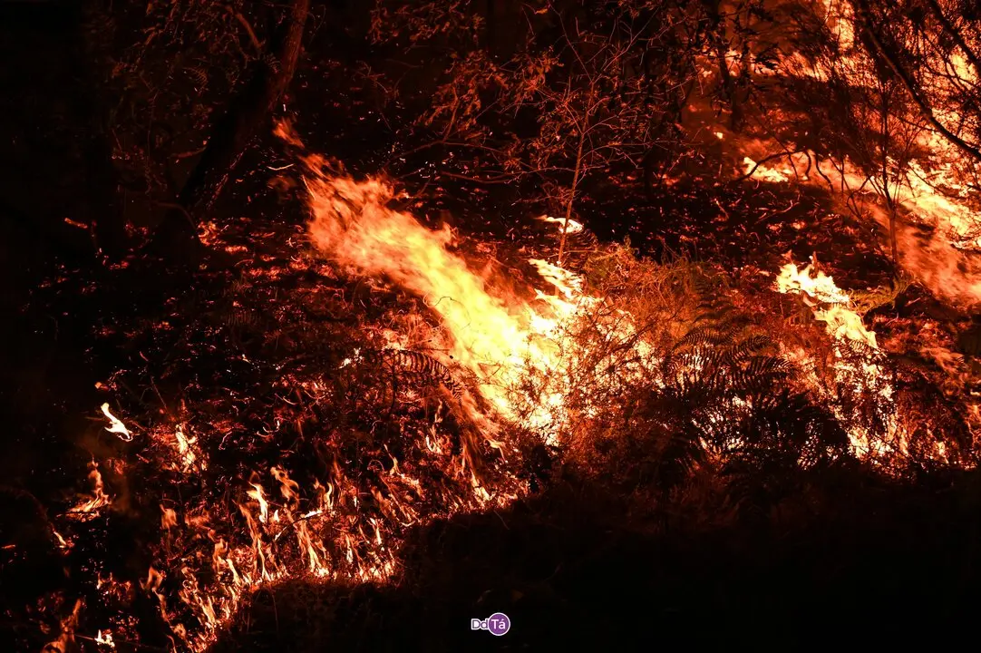 20250812 IFAGranxaO&iacute;mbra, incendio o&iacute;mbra, zona vilaza (29)