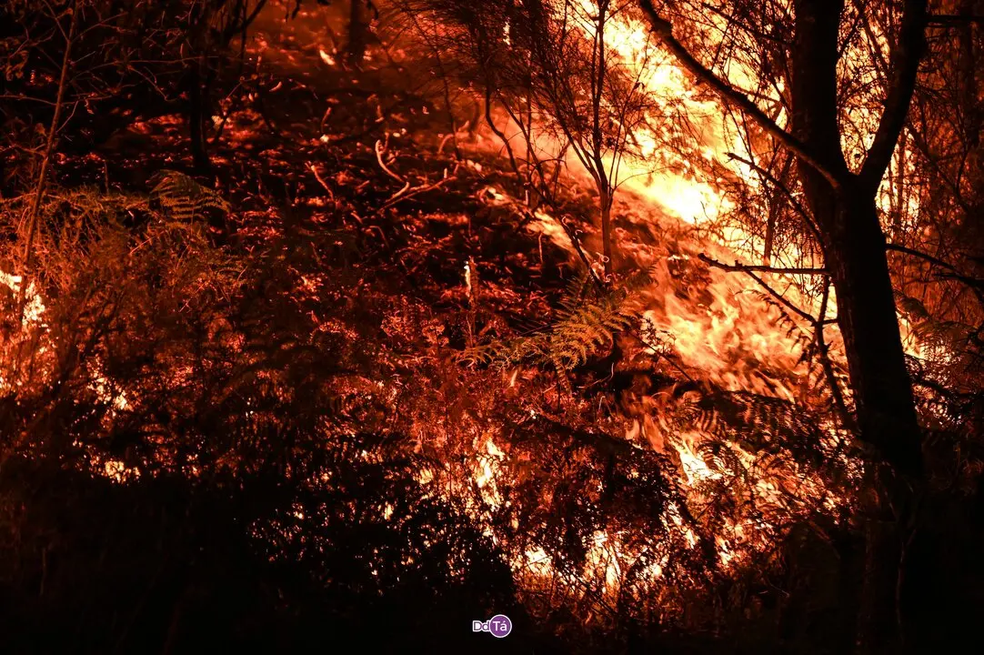 20250812 IFAGranxaO&iacute;mbra, incendio o&iacute;mbra, zona vilaza (34)