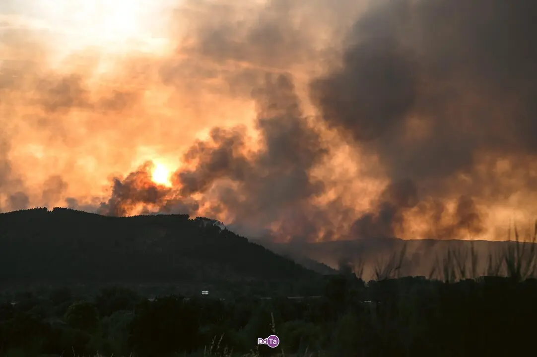20250812 Incendio A Mezquita, IFAEsculqueiraAMezquita, lume, a esculqueira (1)