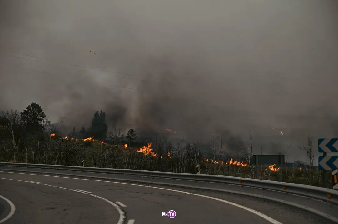 20250812 Incendio A Mezquita, IFAEsculqueiraAMezquita, lume, a esculqueira (18)
