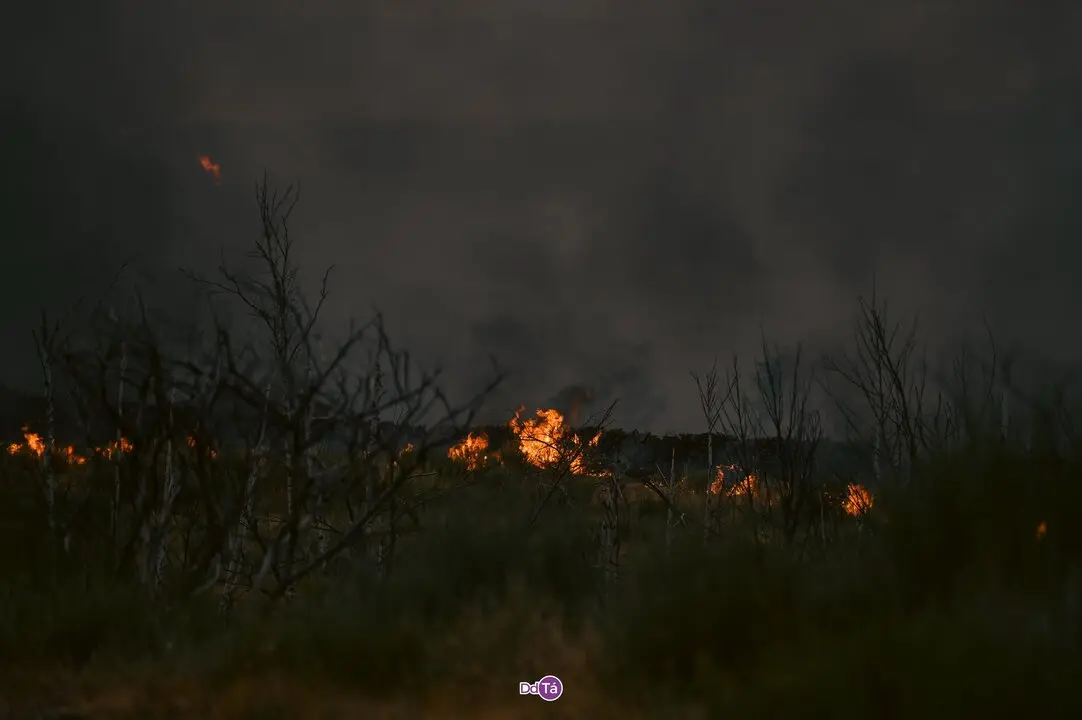 20250812 Incendio A Mezquita, IFAEsculqueiraAMezquita, lume, a esculqueira (25)
