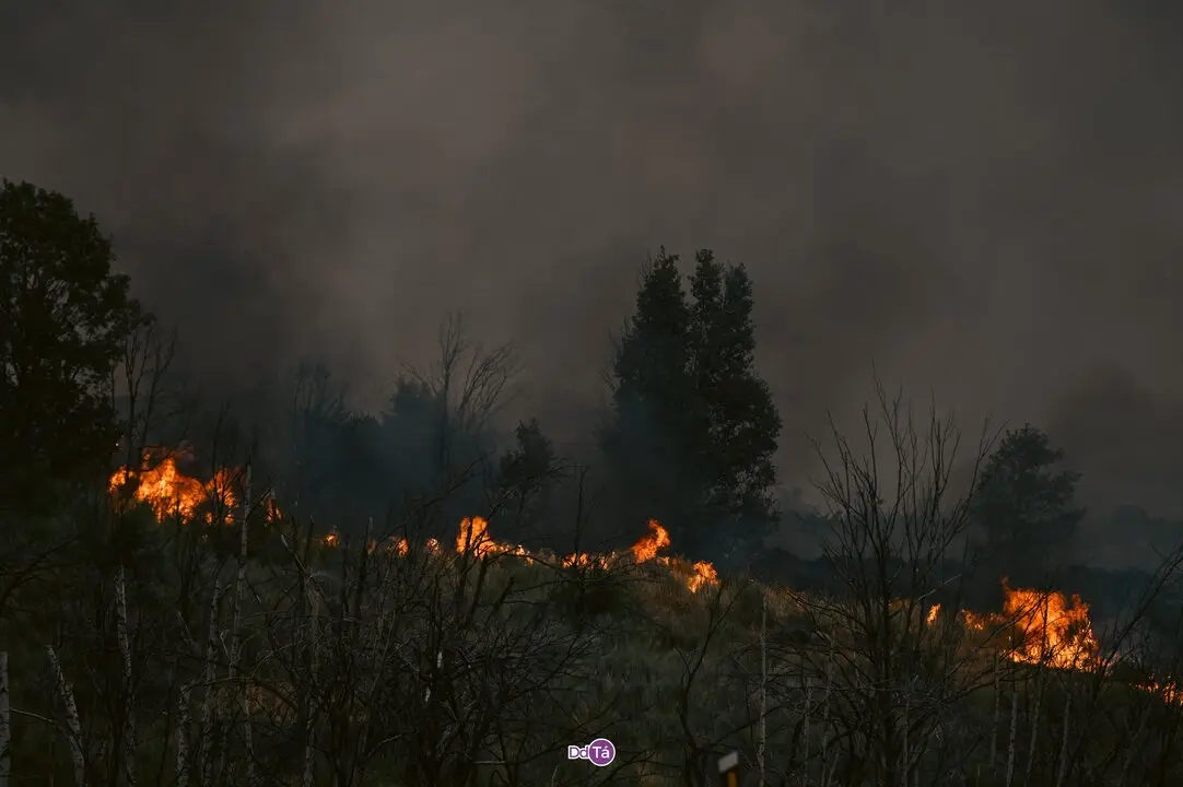 20250812 Incendio A Mezquita, IFAEsculqueiraAMezquita, lume, a esculqueira (30)