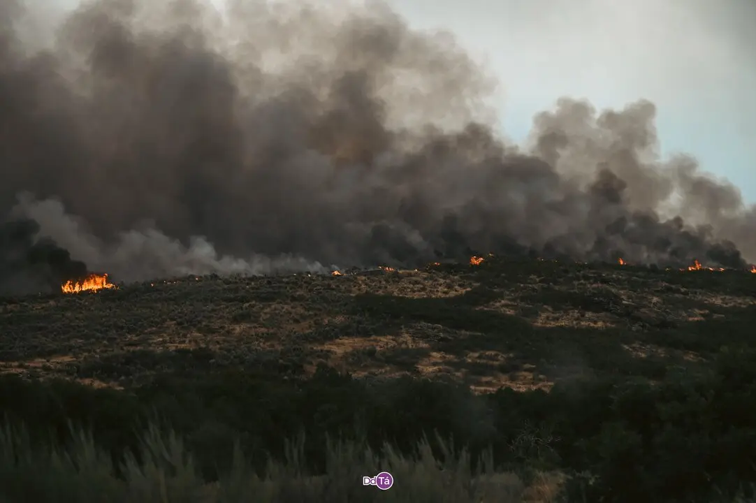 20250812 Incendio A Mezquita, IFAEsculqueiraAMezquita, lume, a esculqueira (39)