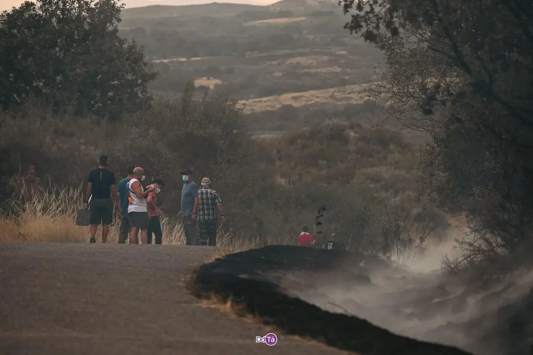 20250812 Incendio A Mezquita, IFAEsculqueiraAMezquita, lume, a esculqueira (41)