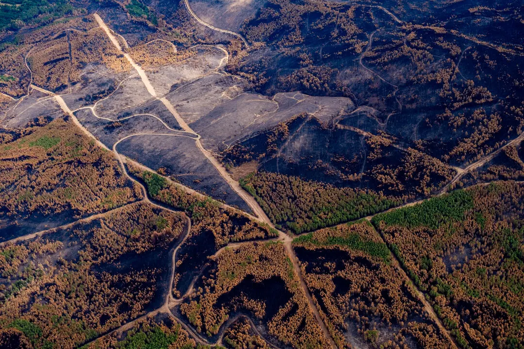 30 agosto 2025. Laza. Ourense. 
 Estos tres son los mayores fuegos del verano y tambi&eacute;n de la historia de la Comunidad: Larouco (30.000 hect&aacute;reas), Chandrexa de Queixa y Vilari&ntilde;o de Conso (19.000 hect&aacute;reas) y O&iacute;mbra y Xinzo de Limia (17.000 hect&aacute;reas)
&copy; Pedro Armestre

&copy;Greenpeace Handout/ Pedro Armestre