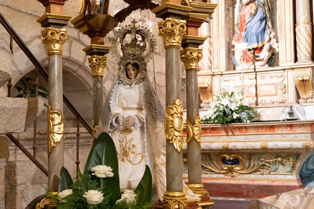 Remedios_2025-05