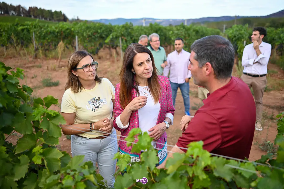 ladairo-06