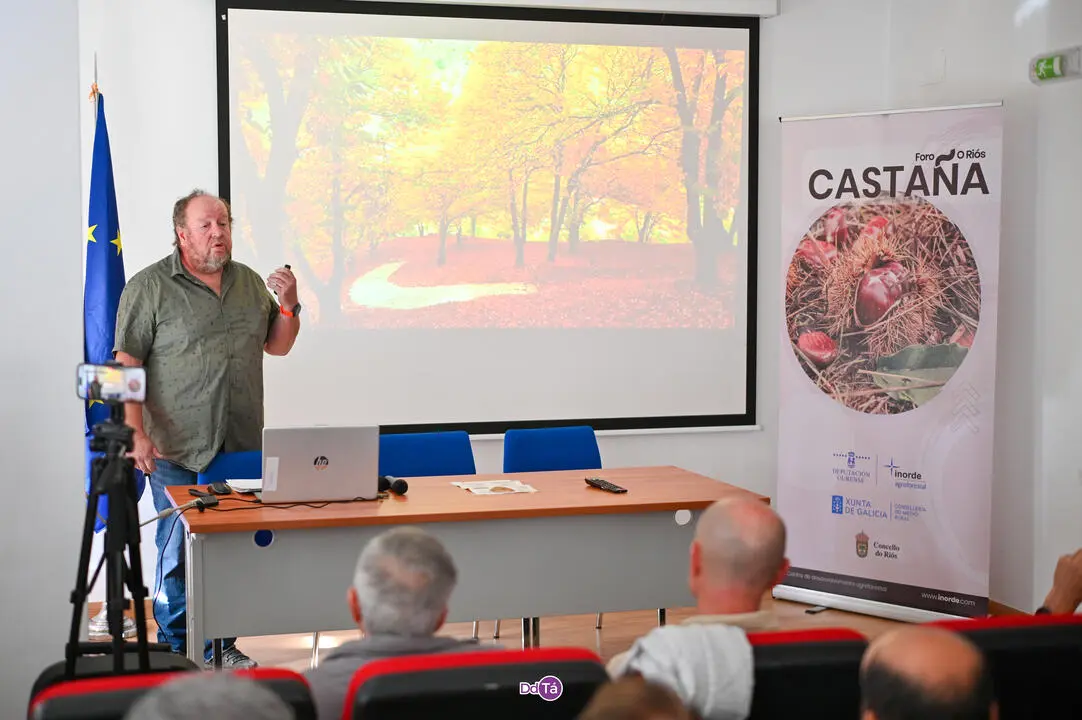 foro da casta&ntilde;a-02
