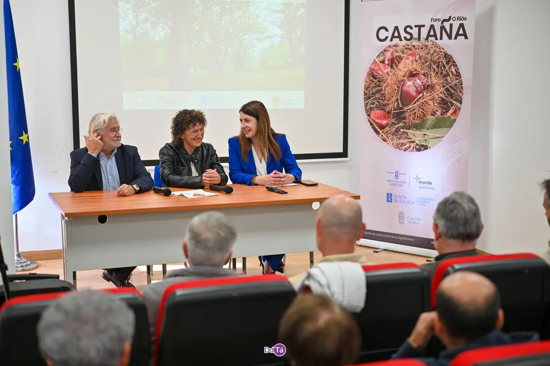 foro da casta&ntilde;a-05