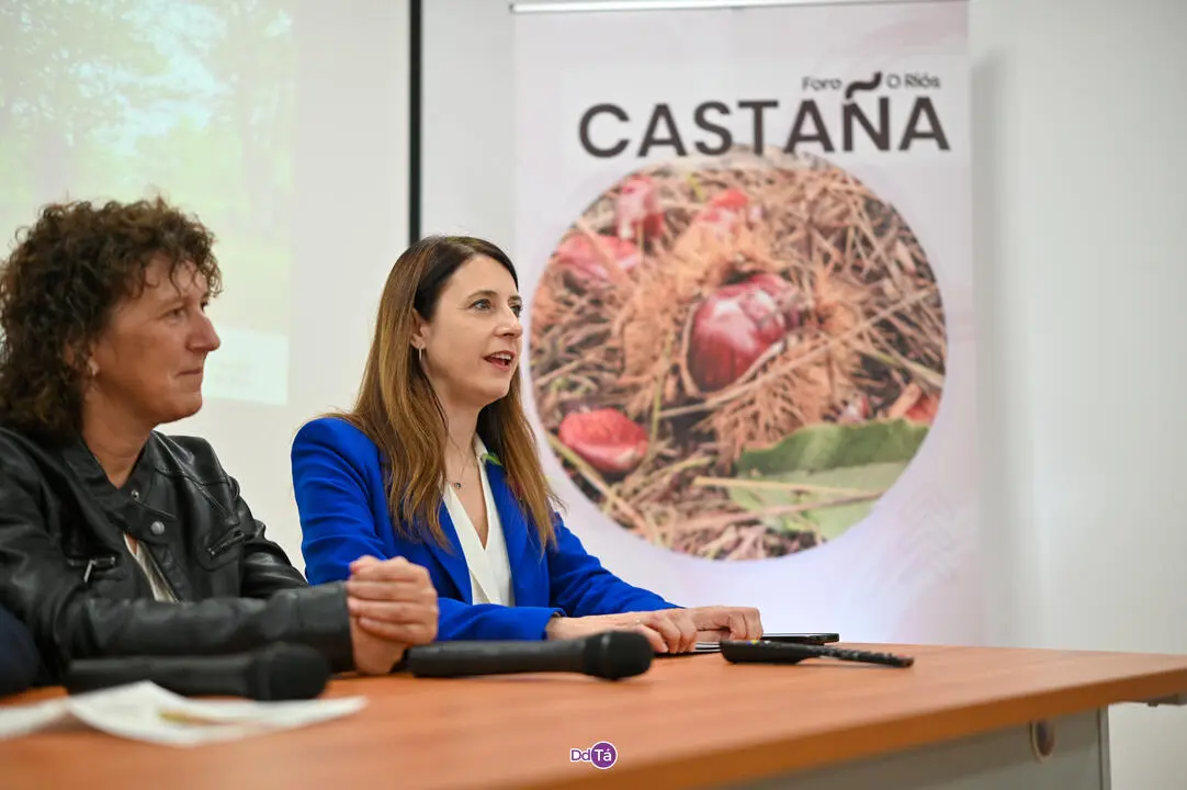 foro da casta&ntilde;a-07