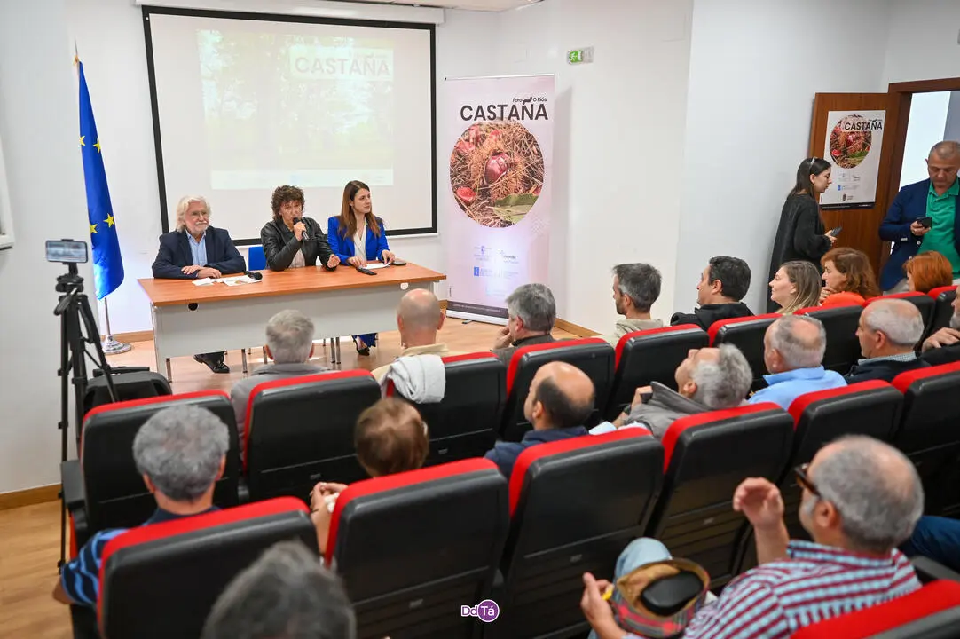 foro da casta&ntilde;a-14