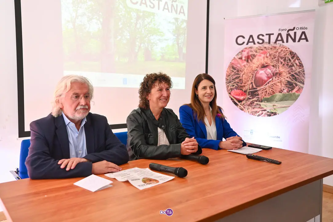 foro da casta&ntilde;a-16