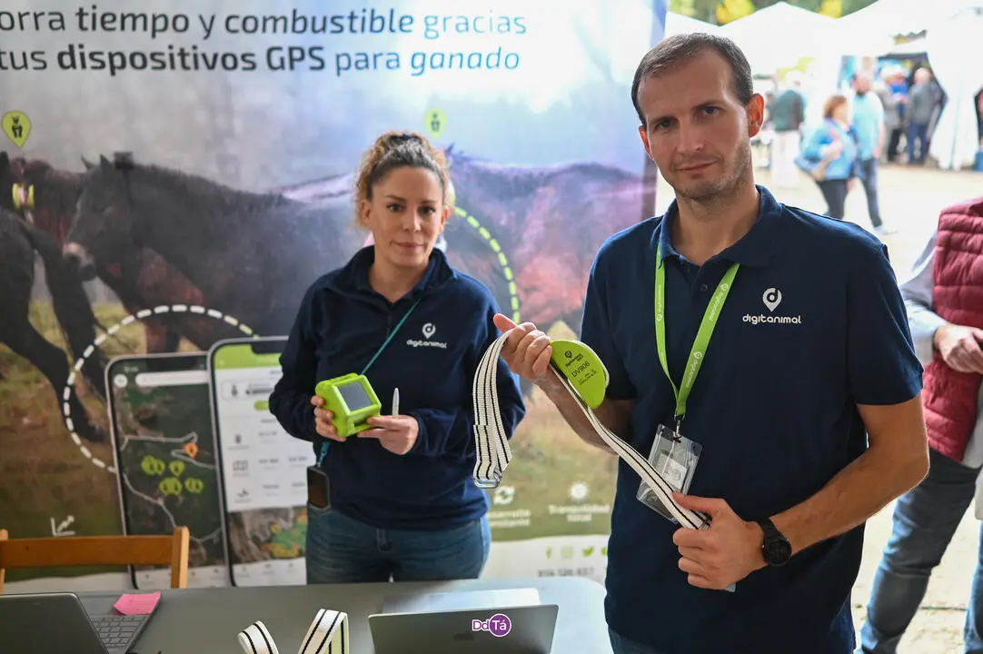 FEIRA A VEIGA-049