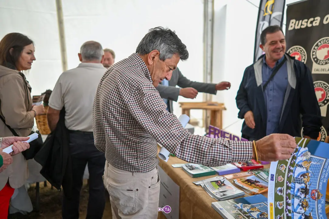 FEIRA A VEIGA-068