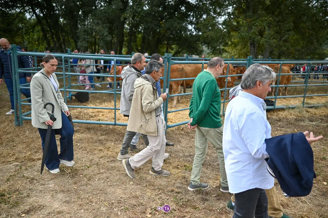 FEIRA A VEIGA-076