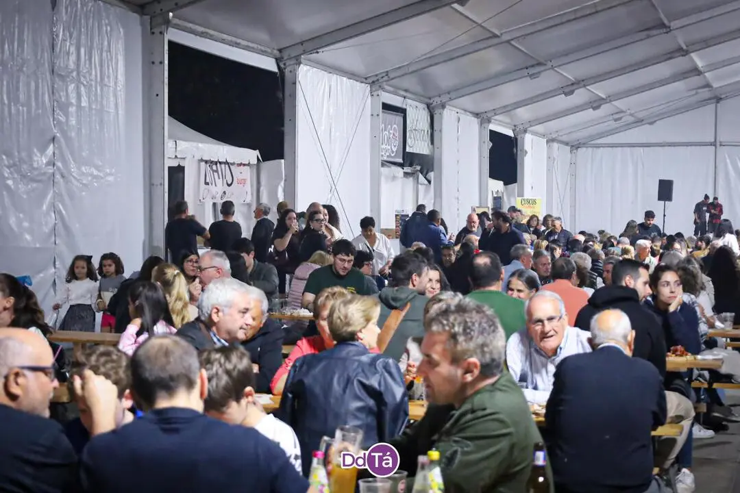 2025_VIERNES V FESTA CERVEZA_CERVEXA_VERIN_AGS-02