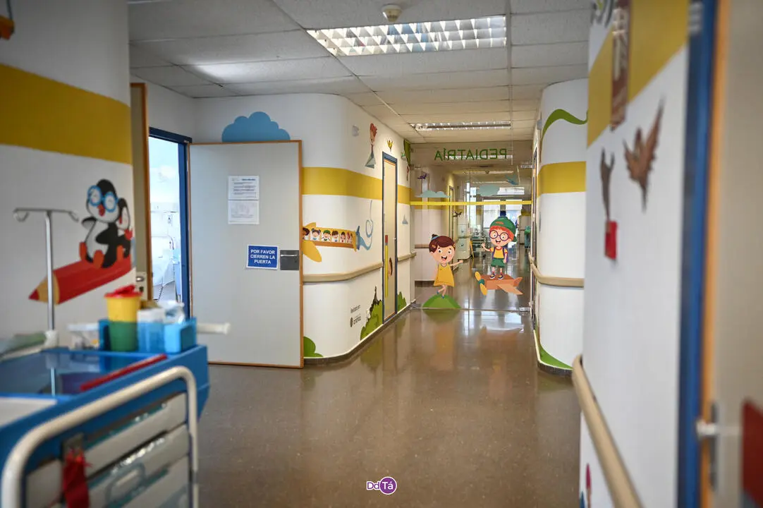 fundaci&oacute;n andrea-02