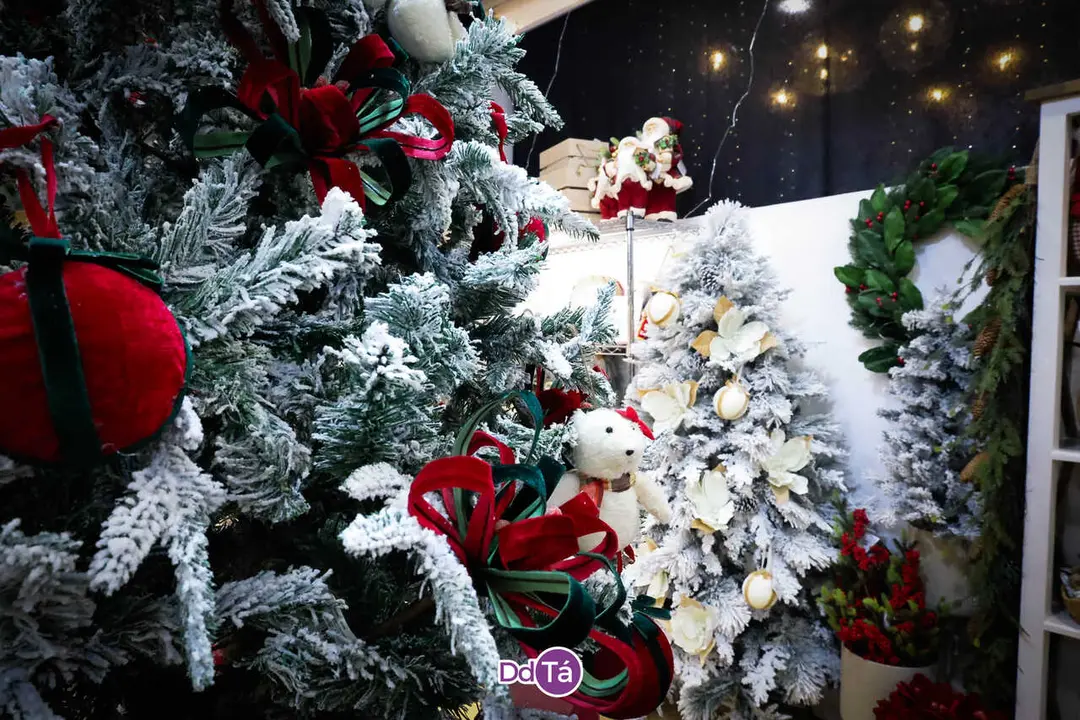 Bazar A Merced_noviembre 2025-35