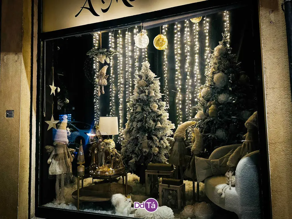 Bazar A Merced_noviembre 2025-95