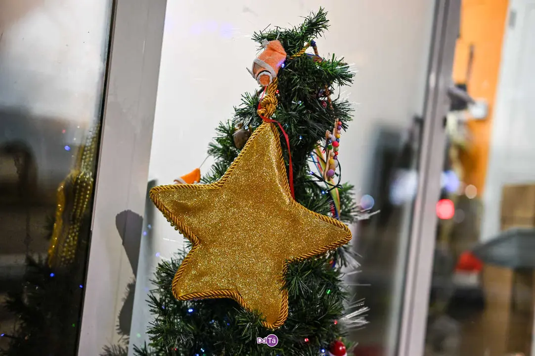 luces navidad ver&iacute;n-03