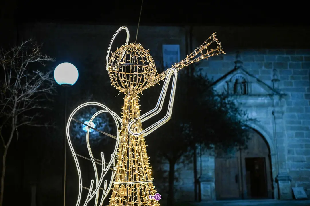 luces navidad ver&iacute;n-29