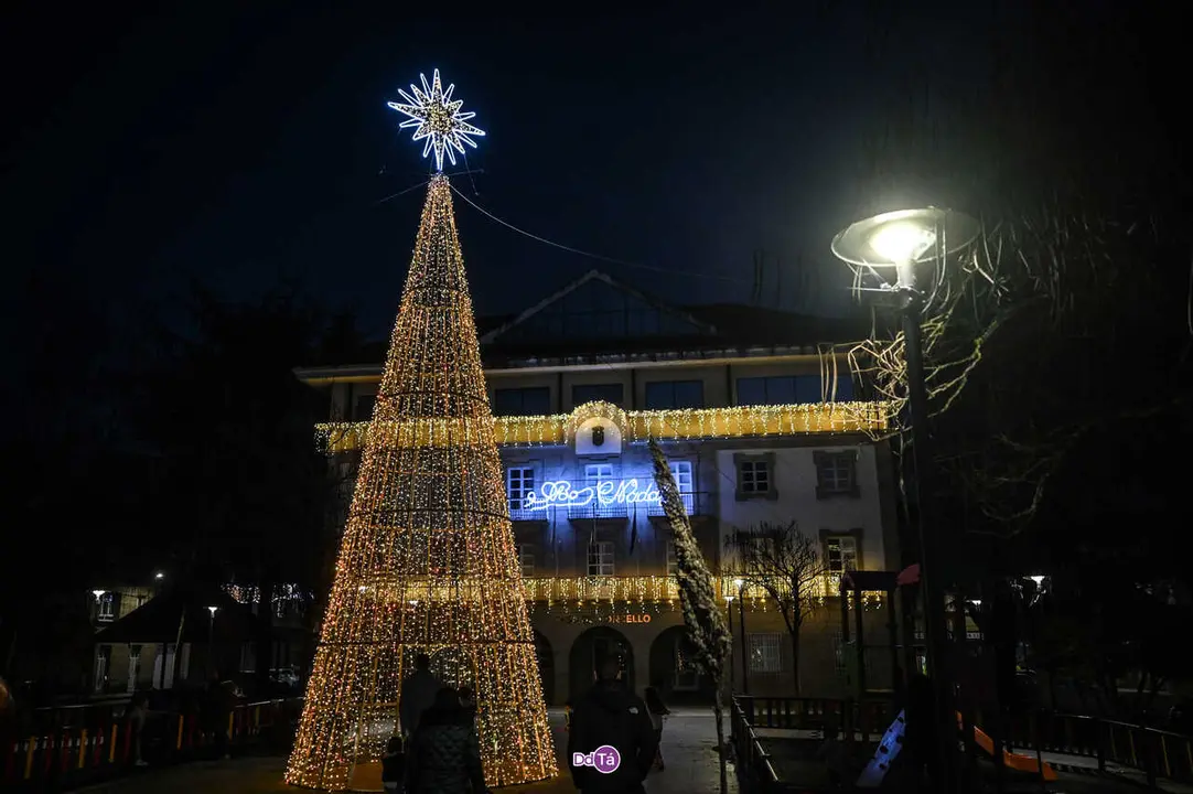 luces navidad ver&iacute;n-50
