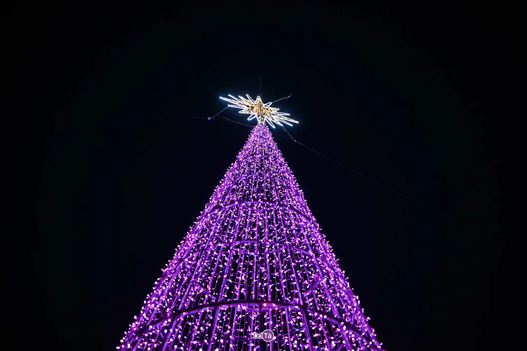 luces navidad ver&iacute;n-56