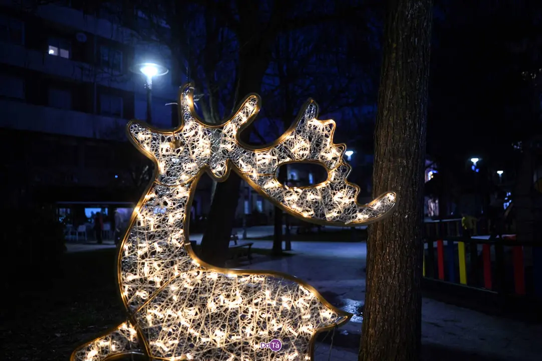 luces navidad ver&iacute;n-57