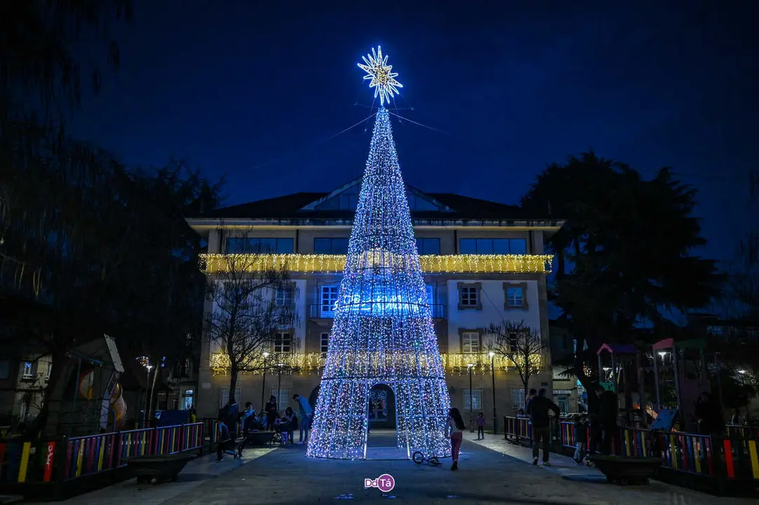 luces navidad ver&iacute;n-58