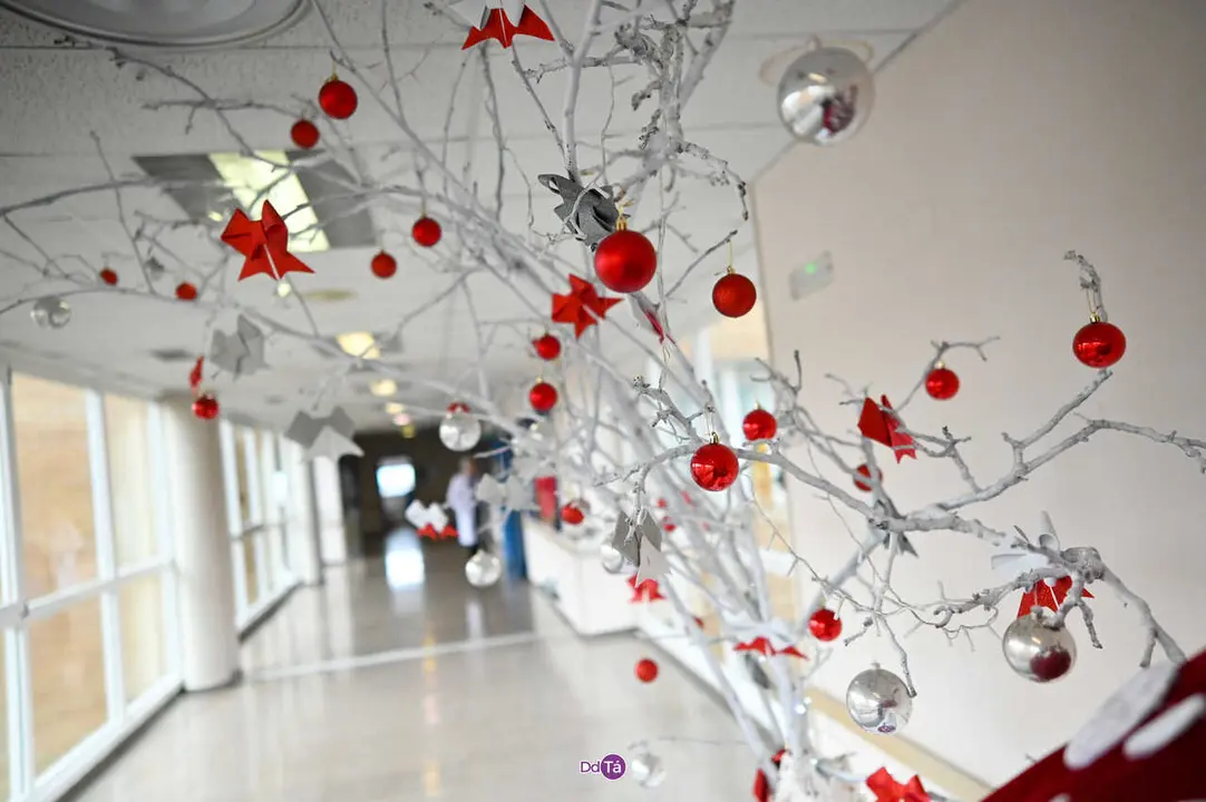 decoracion navidad hospital de verin-29