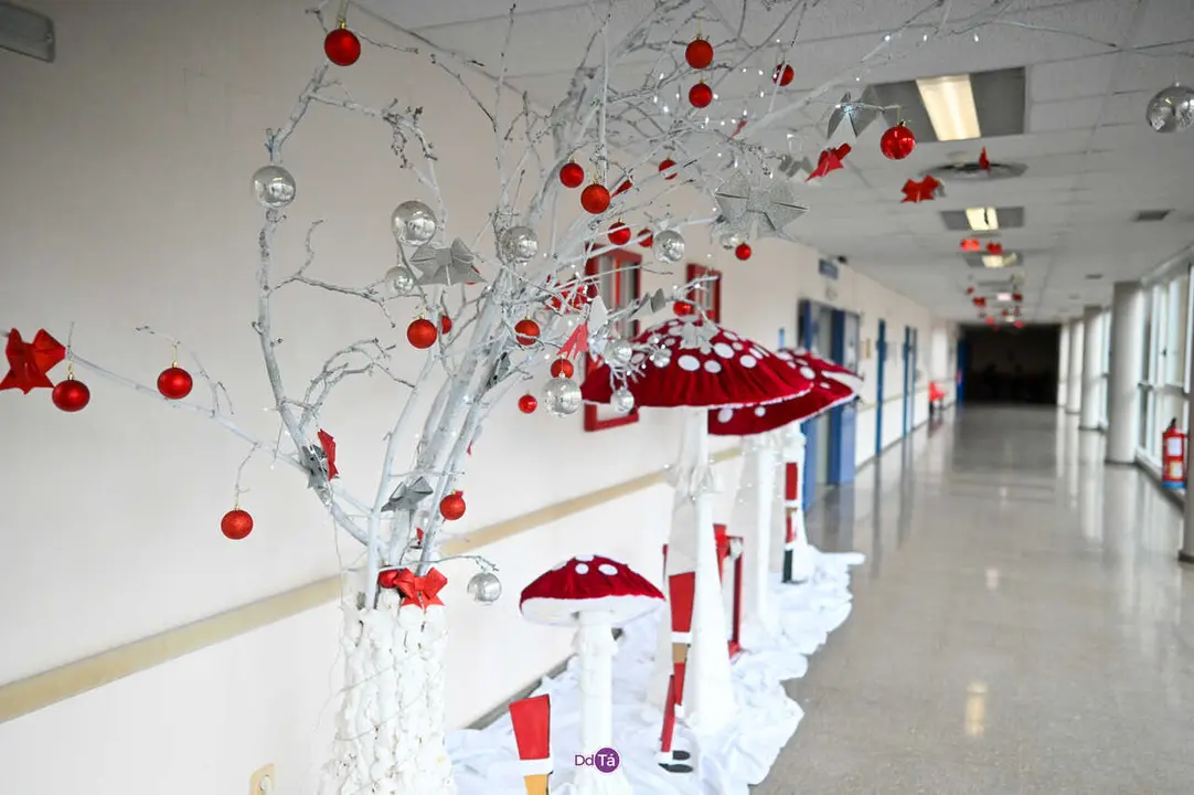 decoracion navidad hospital de verin-33