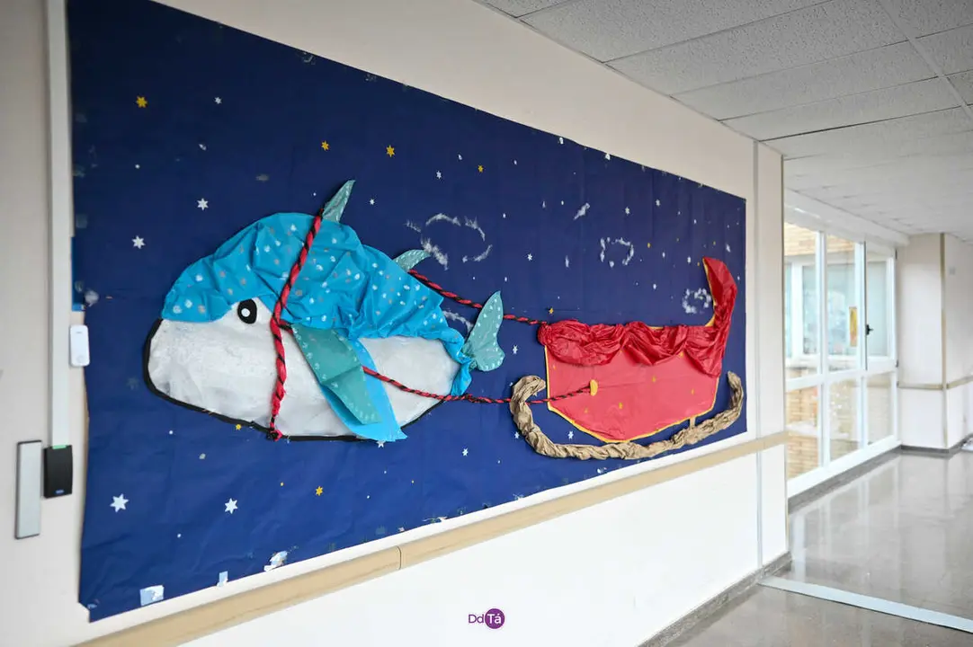 decoracion navidad hospital de verin-34
