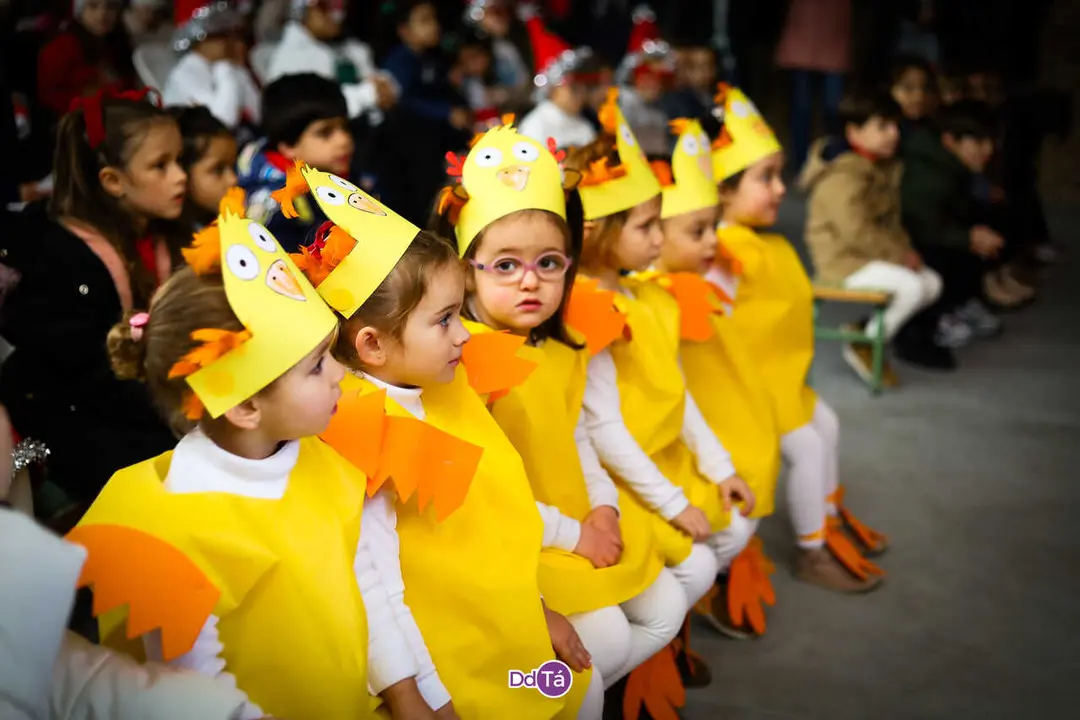 festival nadal CEIP OIMBRA_2025-89