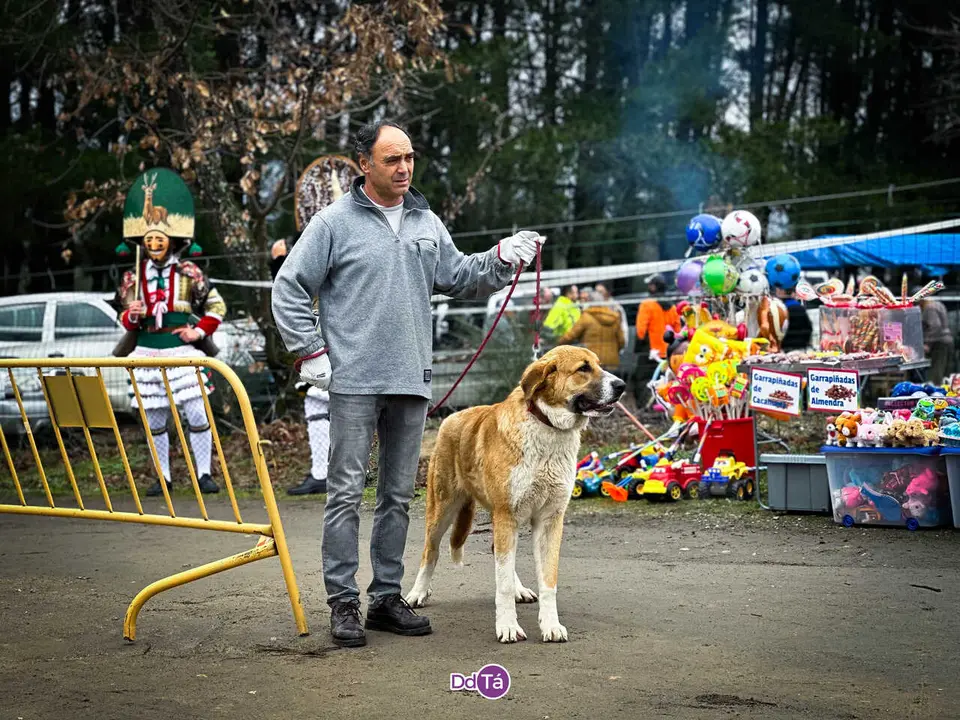 san anton verin_2026-03