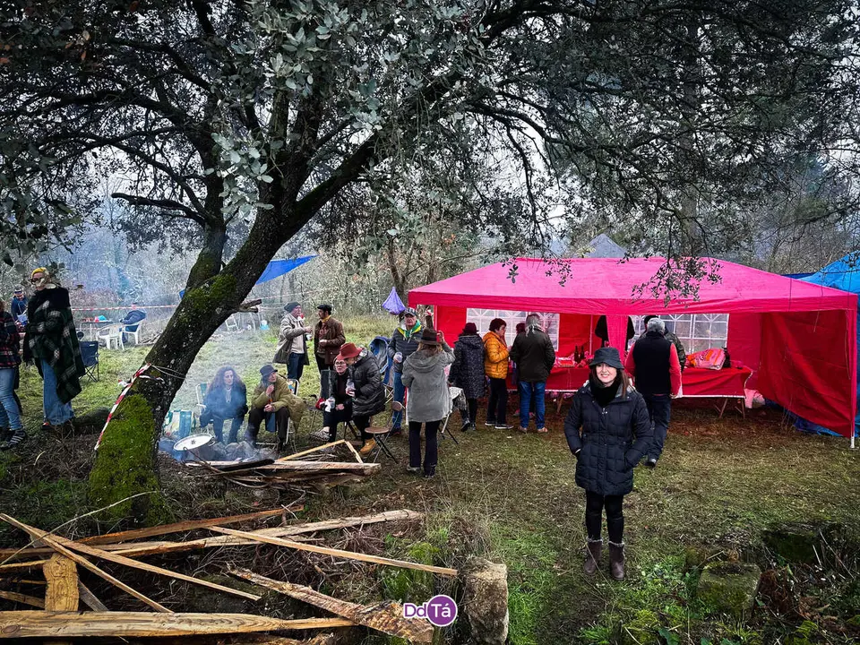 san anton verin_2026-24