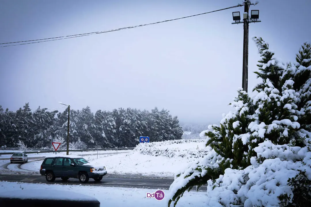 nevada_enero_2026_caldeli&ntilde;as_vendas_romariz-52