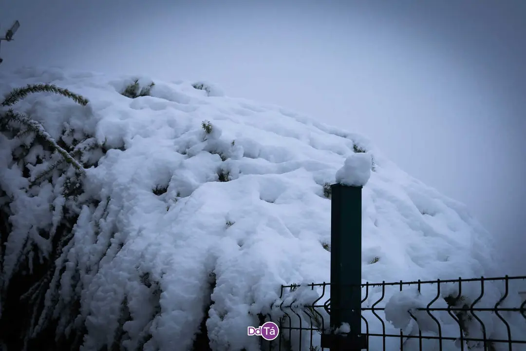 nevada_enero_2026_caldeli&ntilde;as_vendas_romariz-37