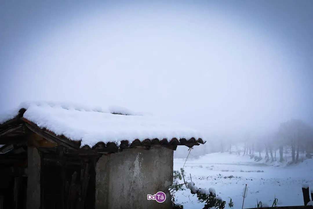 nevada_enero_2026_caldeli&ntilde;as_vendas_romariz-15