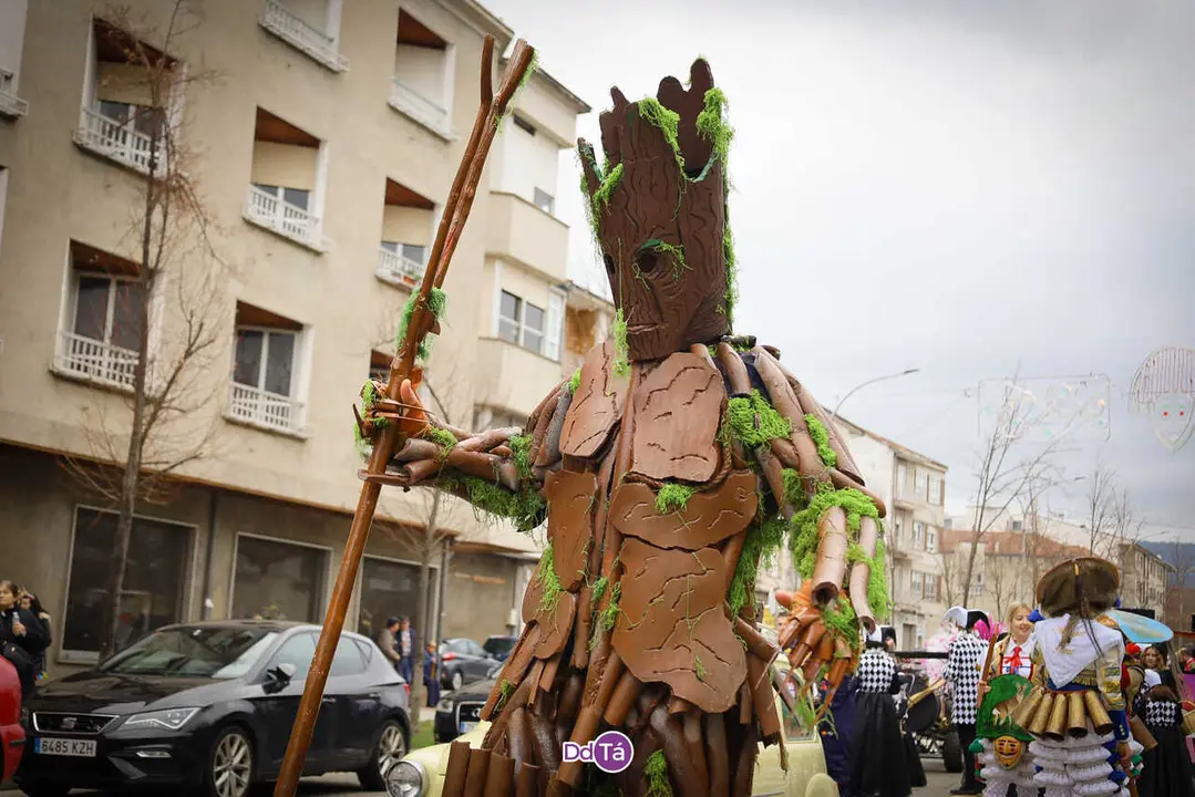 desfile domingo gordo verin entroido 2026-174
