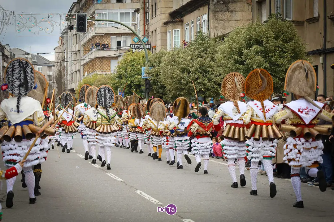 desfile domingo gordo verin entroido 2026-148