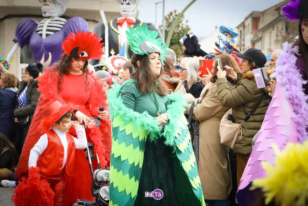 desfile domingo gordo verin entroido 2026-143