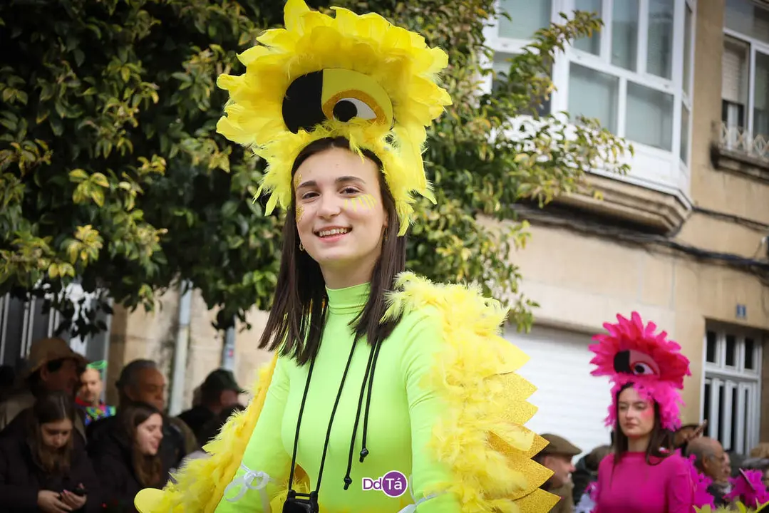 desfile domingo gordo verin entroido 2026-142