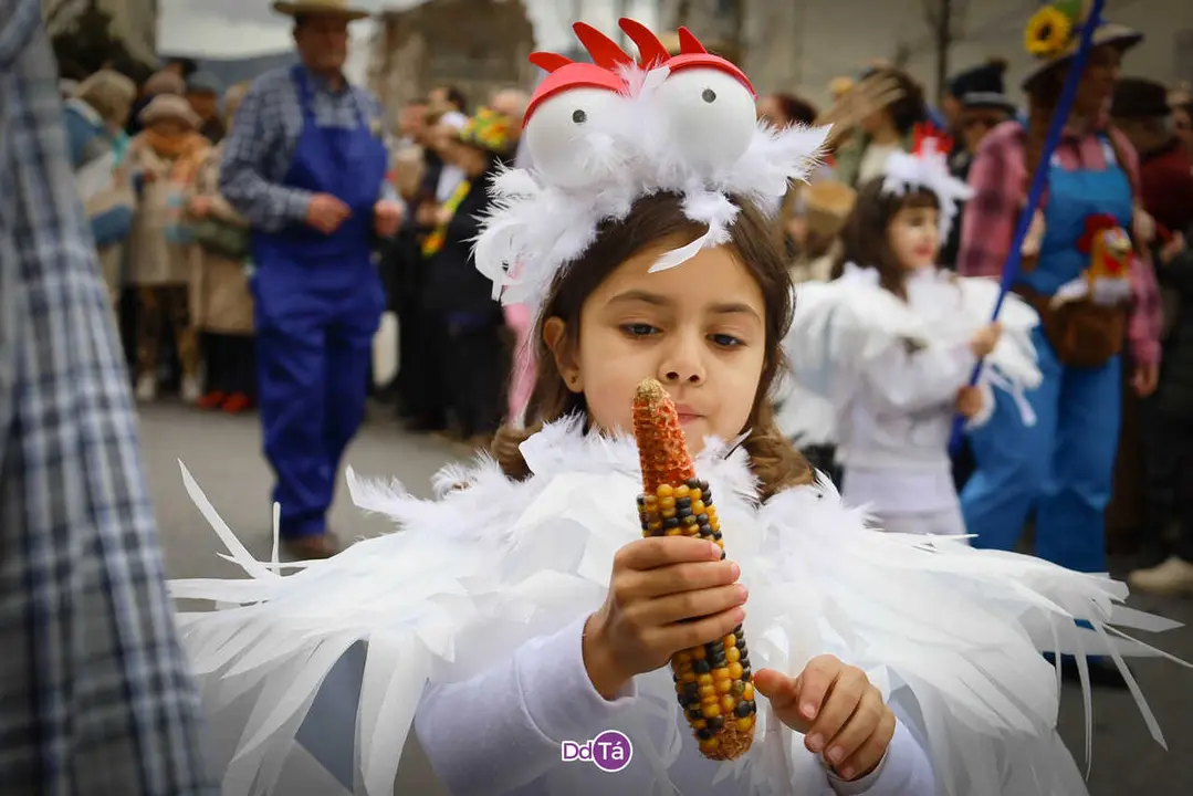 desfile domingo gordo verin entroido 2026-052