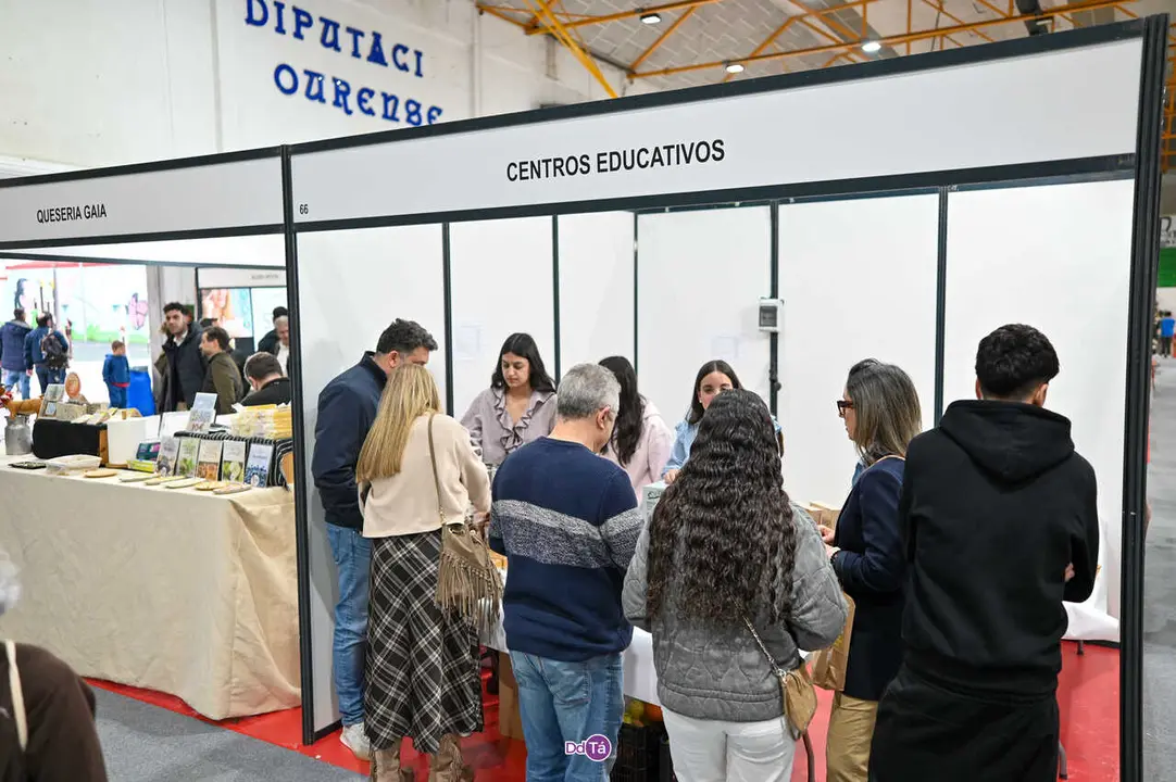 lazaro 2026-7