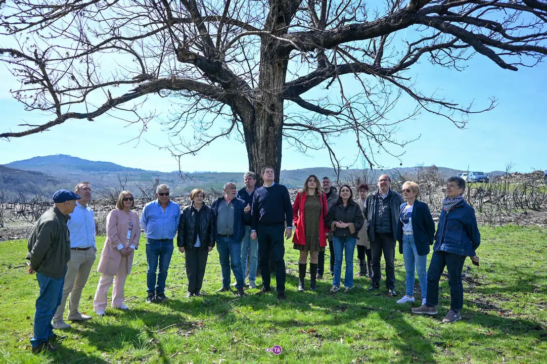visita besteiro a gudi&ntilde;a