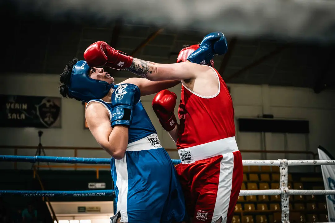 boxeo verin-24