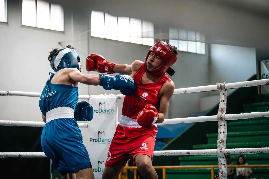 boxeo verin-31