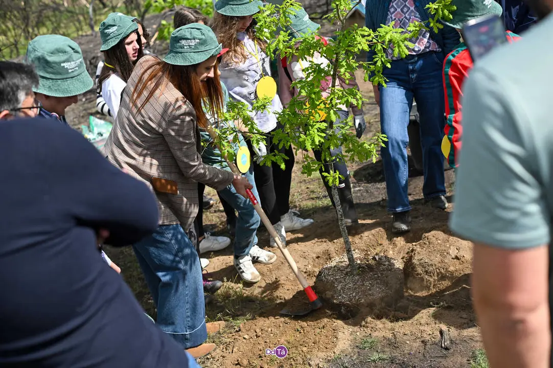 replantacion a caridade-4