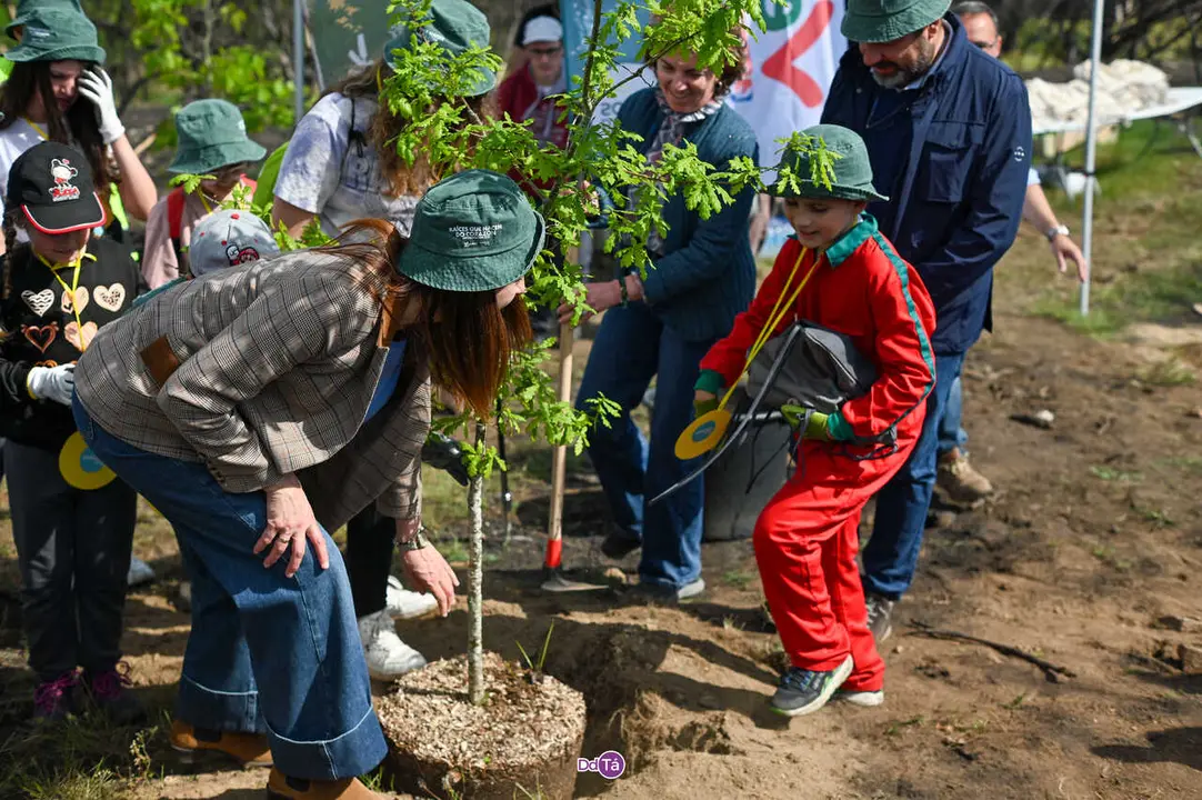replantacion a caridade-5